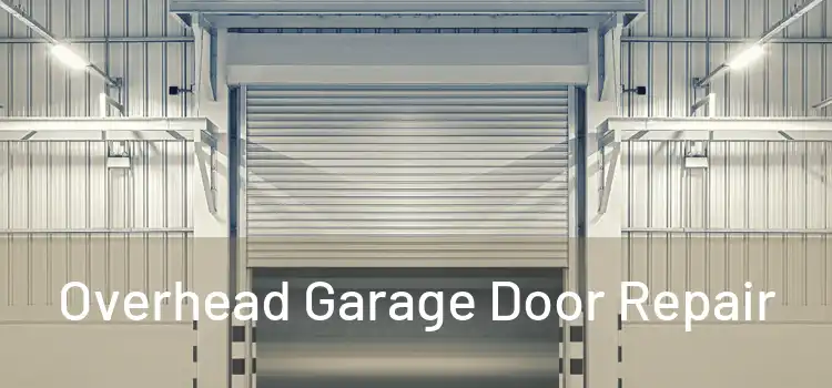 Overhead Garage Door Repair
